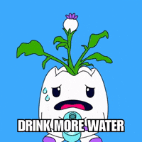 Stay Hydrated Water Bottle GIF by Magic Eden