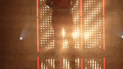 Utah Utes Softball GIF by NCAA Championships