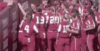 Women College GIF by NCAA Championships