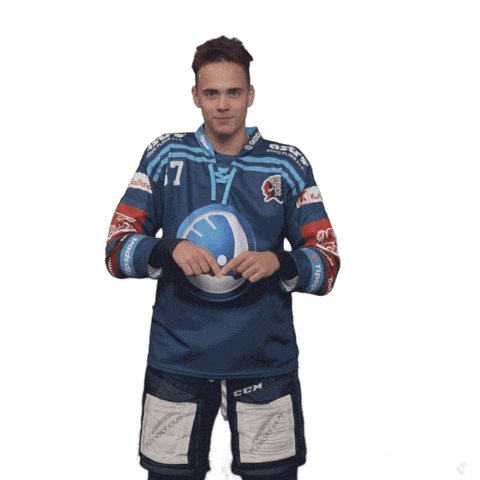 Heart Hockey Sticker by HC Škoda Plzeň
