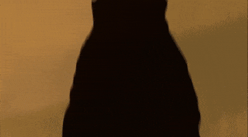 Superstar Rajinikanth Title Card GIF by RajiniGifs