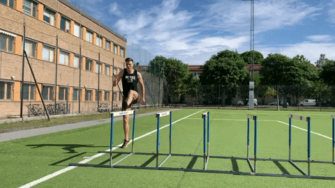 ymr_track_club giphygifmaker ymr track club GIF