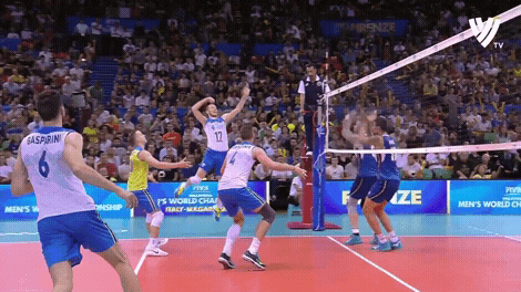 Shall Not Pass No Way GIF by Volleyball World