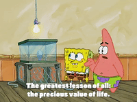 season 3 episode 13 GIF by SpongeBob SquarePants