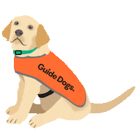 Dog Wagging Sticker by Guide Dogs Australia