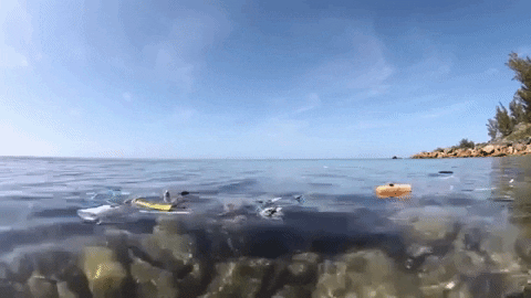 oceans plastics GIF by National Geographic Channel