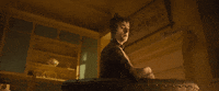 CatsMovie cat no what cats GIF
