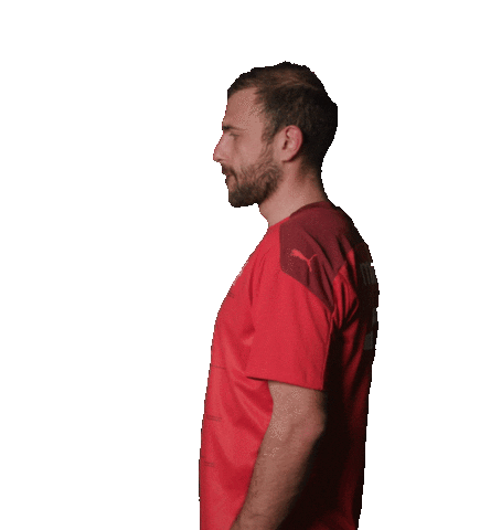 Admir Mehmedi Switzerland Sticker by Swiss Football Association