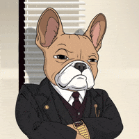 underdogscity reaction dog sad mood GIF