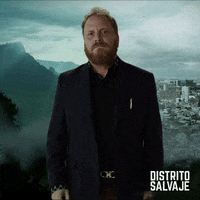 distrito salvaje apache GIF by netflixlat