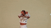 Georgia Tech Football Sport GIF by Georgia Tech Yellow Jackets