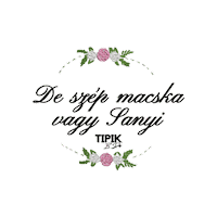 TipikbyDetti handmade magyar vicces hungary Sticker