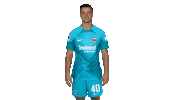 Blink Sge Sticker by Eintracht Frankfurt