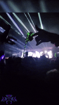 Dance Celebrate GIF by Raja The Tiger