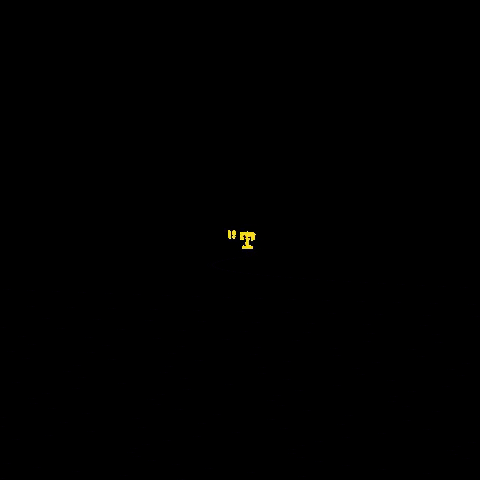 SVANDM giphygifmaker GIF