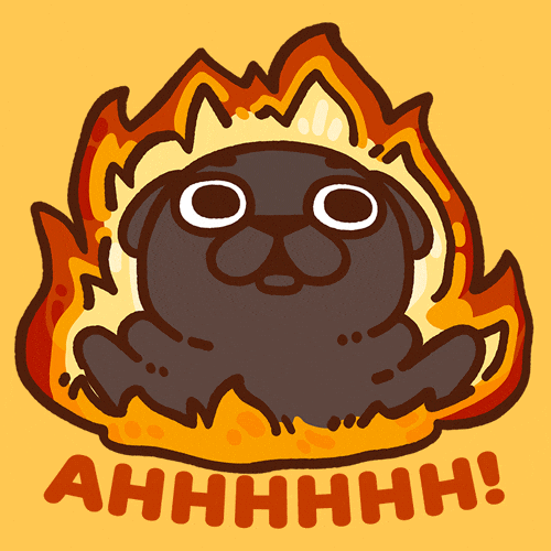 GIF by Puglie Pug