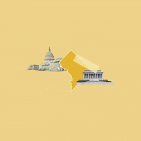 Washington Dc GIF by Crooked Media