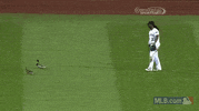 pit GIF by MLB