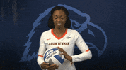 Cnvb Cnvb2019 GIF by Carson-Newman Athletics
