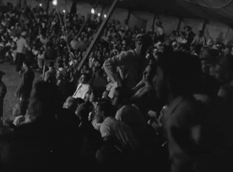 classic film oshaughnessys boy GIF by Warner Archive