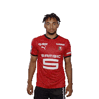 Football Rennes Sticker by Stade Rennais F.C.