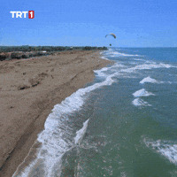 Skydive Yaz GIF by TRT