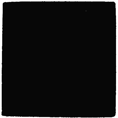 Polar Bear Shades GIF by Ozzy Bear Originals