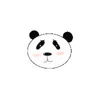 Bear Panda Sticker