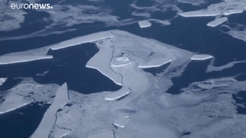 Ice GIF by euronews