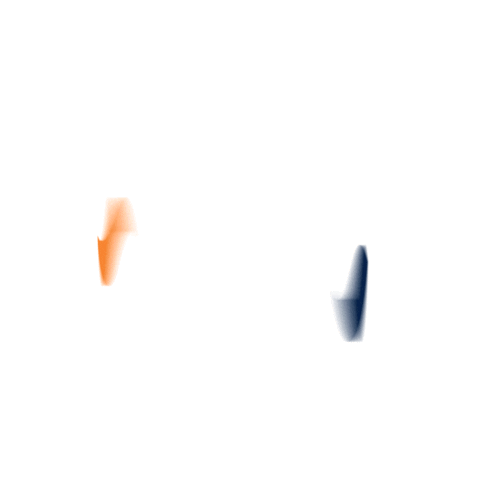 Shrimp Nordeste Sticker by Rio Nort Pescados