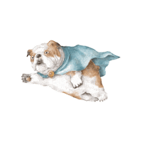 Bull International Dog Day Sticker by bulldogclub