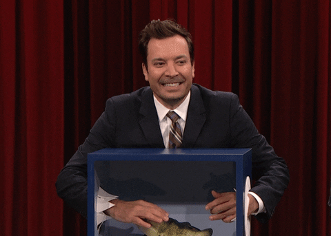 Jimmy Fallon Omg GIF by The Tonight Show Starring Jimmy Fallon