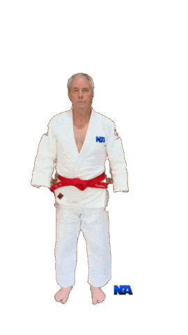 Judo Ippon Sticker by NA Effective Fighting