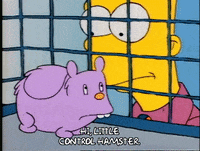 Season 1 GIF by The Simpsons