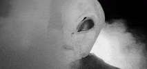 Music Video Australia GIF by Skegss