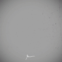 winner win GIF by GaryVee