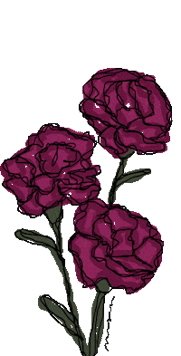 msmvisualdesign flower flowers msmvisualdesign Sticker