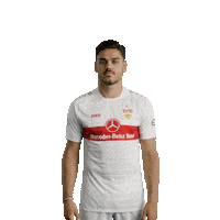 Weiss Nicht Sorry Not Sorry Sticker by VfB Stuttgart