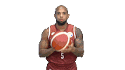 World Cup Sticker by FIBA