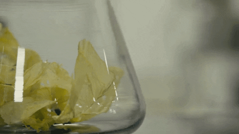 kyunghwanjung giphyupload GIF