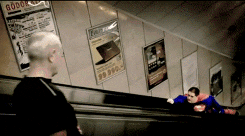 bird plane GIF