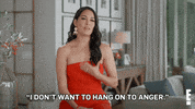 Brie Bella Advice GIF by E!