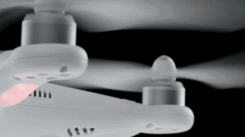 the drone queen GIF