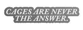 You Quotes Los Angeles Sticker by YOU