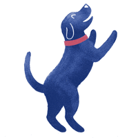 medivetcomunicacion  GIF