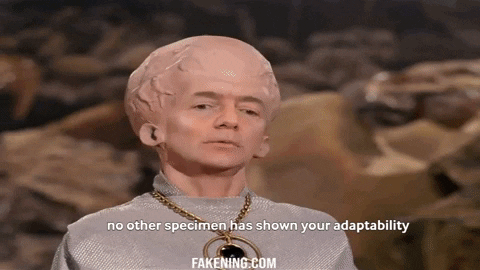 jasminegrujovski giphygifmaker GIF