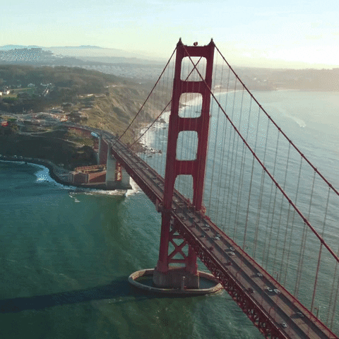 San Francisco City GIF by Yevbel