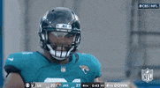 Jacksonville Jaguars Football GIF by NFL