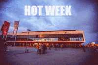 EWE_Baskets playoffs bbl oldenburg ewe baskets GIF