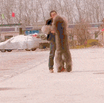 cuteanimalland giphyupload GIF